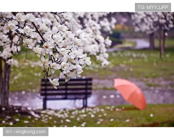 纯粹多点开花难以走远 成熟体系与核心掌控力仍是基础